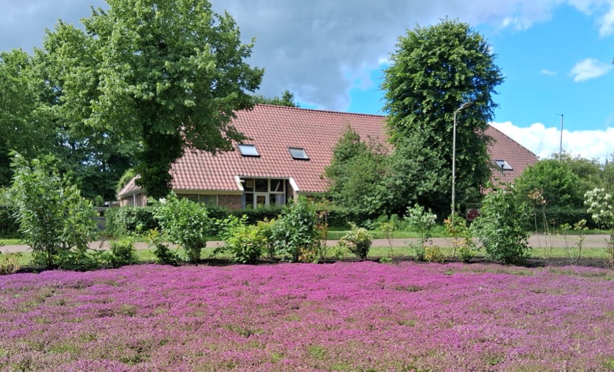 groepen